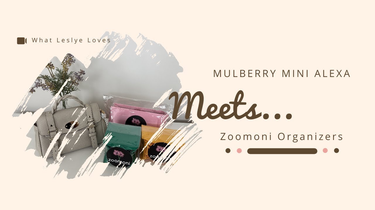 Mulberry Mini Alexa Meets Zoomoni | In-Depth Review + Organizer Fit + Discount Code!