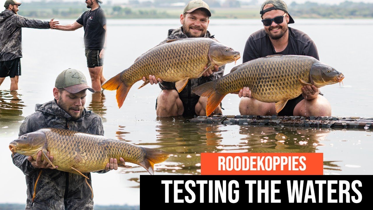 Roodekoppies - Testing the waters - Carp fishing South Africa