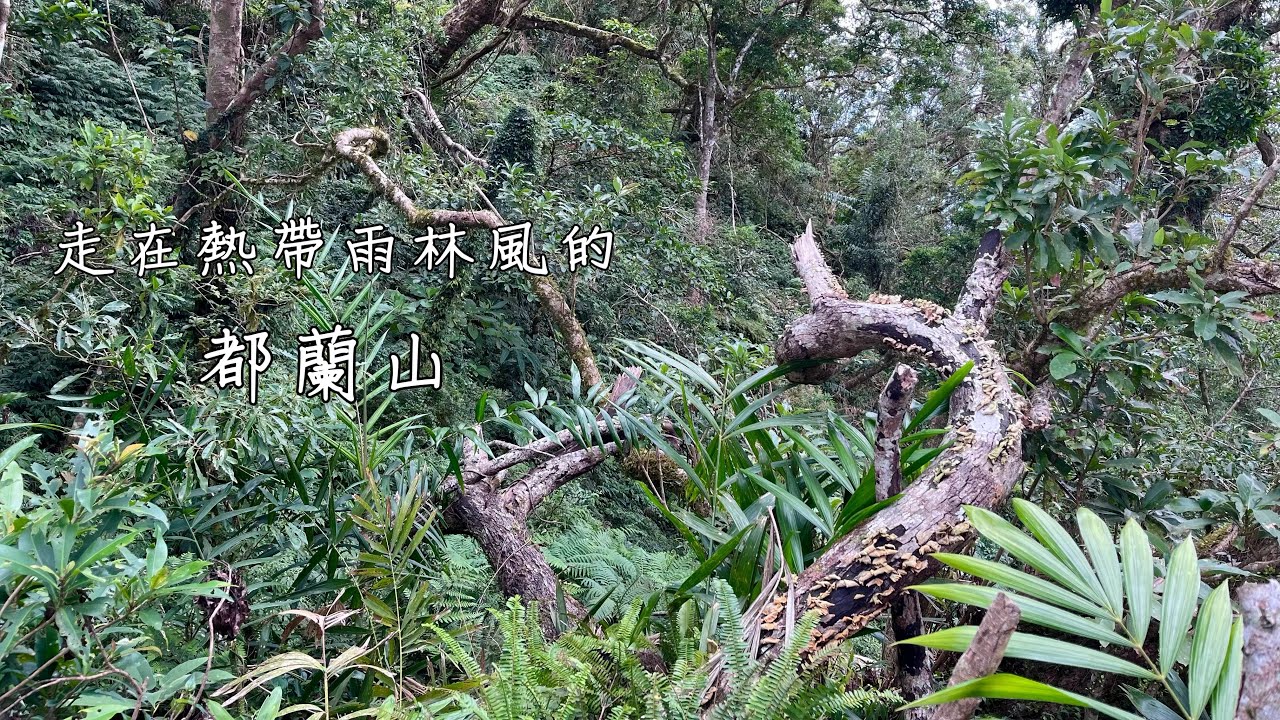 台東縣東河鄉都蘭山  小百岳#93/俯瞰太平洋跟花東縱谷