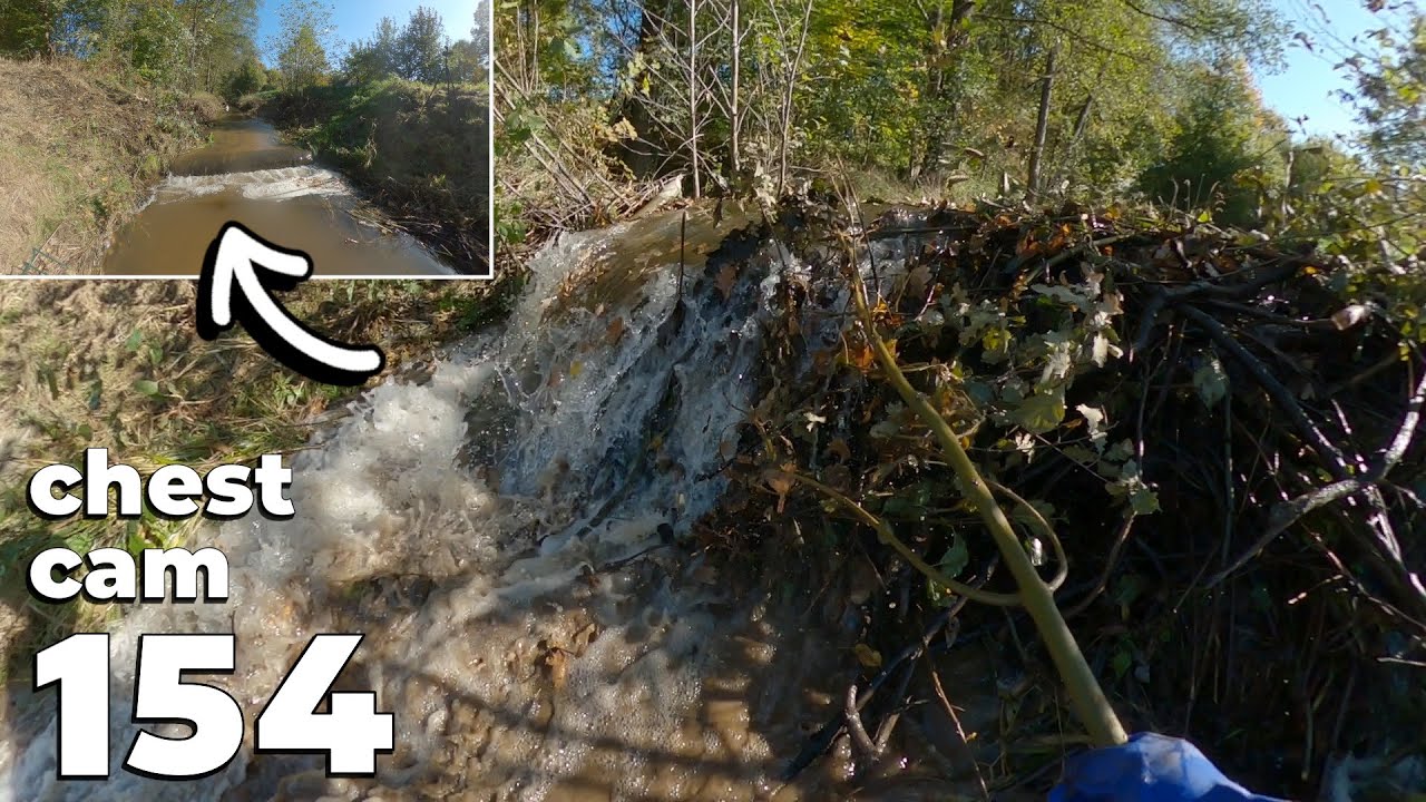 Manual Beaver Dam Removal No.154 - Chest Cam - Lots Of Work