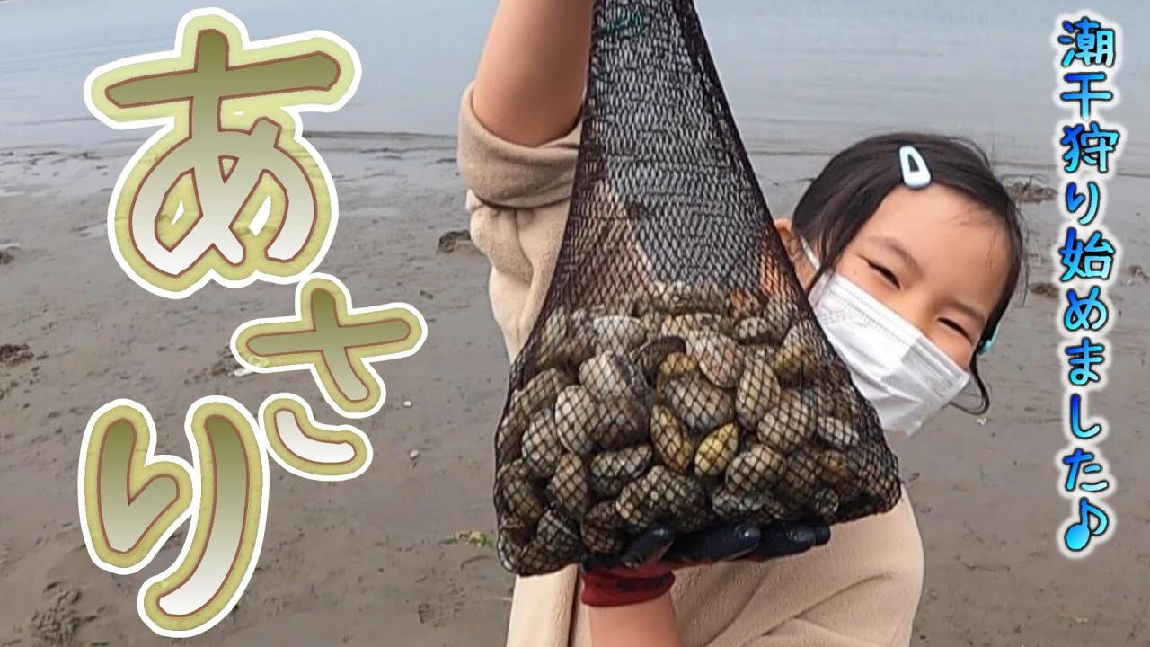 【富津海岸潮干狩り】オープン初日の凄さ☆死んだ貝の見分け方も