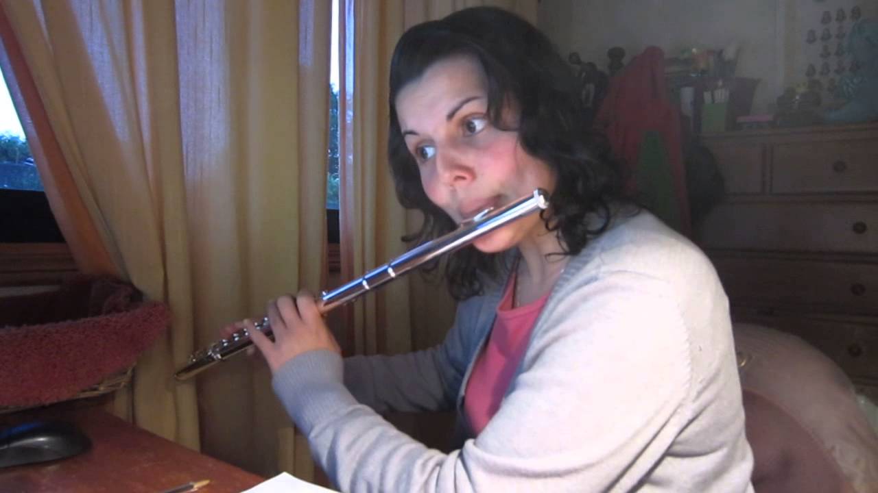 Howl's moving castle main theme / El castillo ambulante - Cross Flute Cover