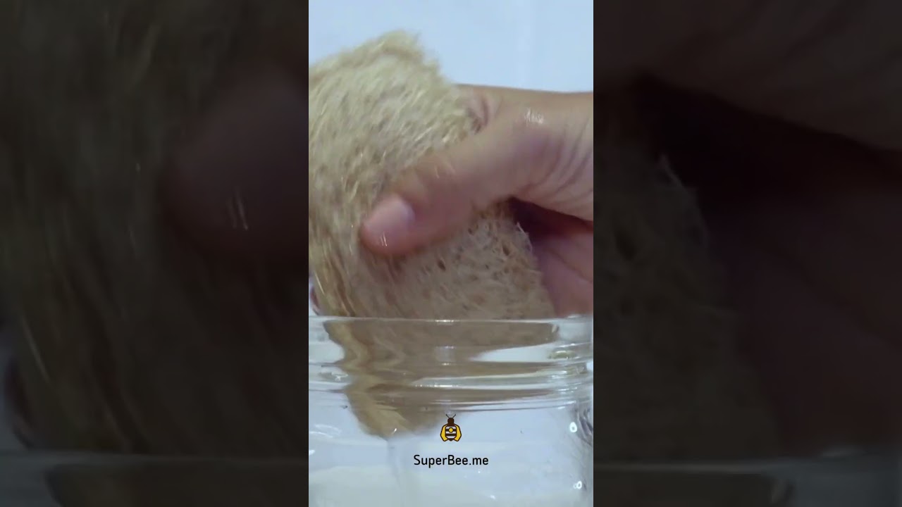 Natural loofah sponge to replace toxic plastic sponges
