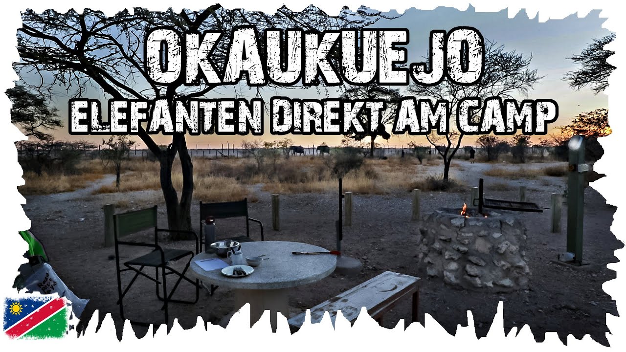 Unsere Reise endet im Okaukuejo Camp - Namibia Reise #26