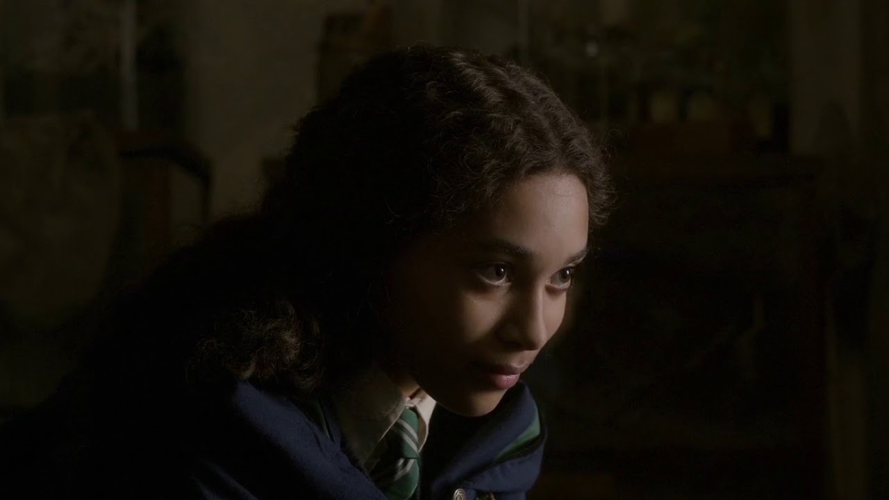 Leta's Memories   Fantastic Beasts Crimes of Grindlewald
