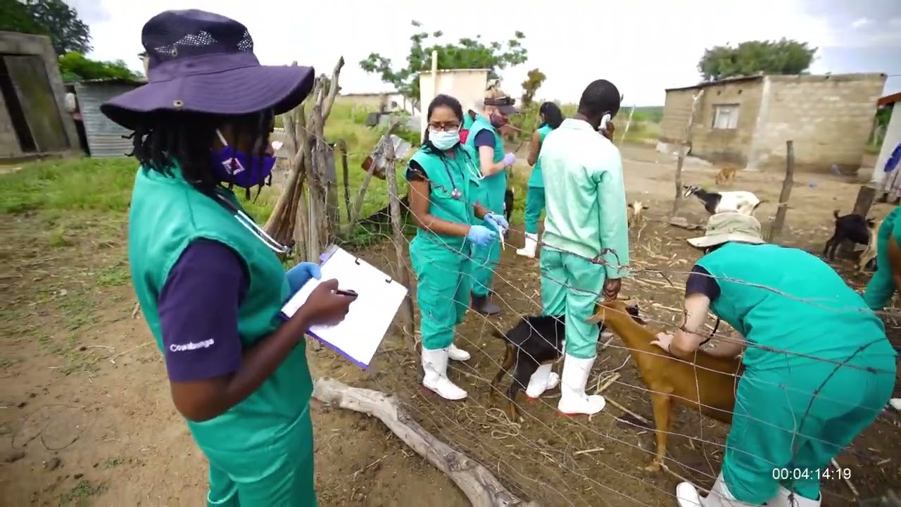 Onderstepoort Veterinary Academic Hospital (OVAH): Satellite facilities and ambulatory services