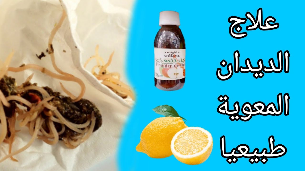 شاهد كيف عالجت طائر مصاب بالديدان المعوية وبطريقة طبيعية