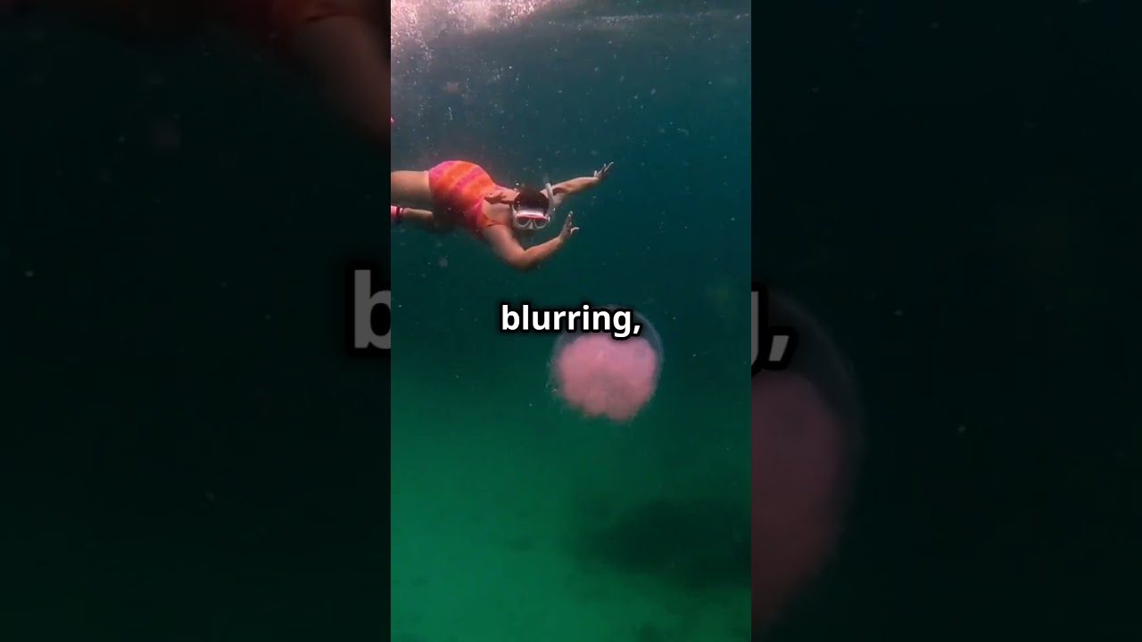 The Irukandji Jellyfish's Deadly Sting