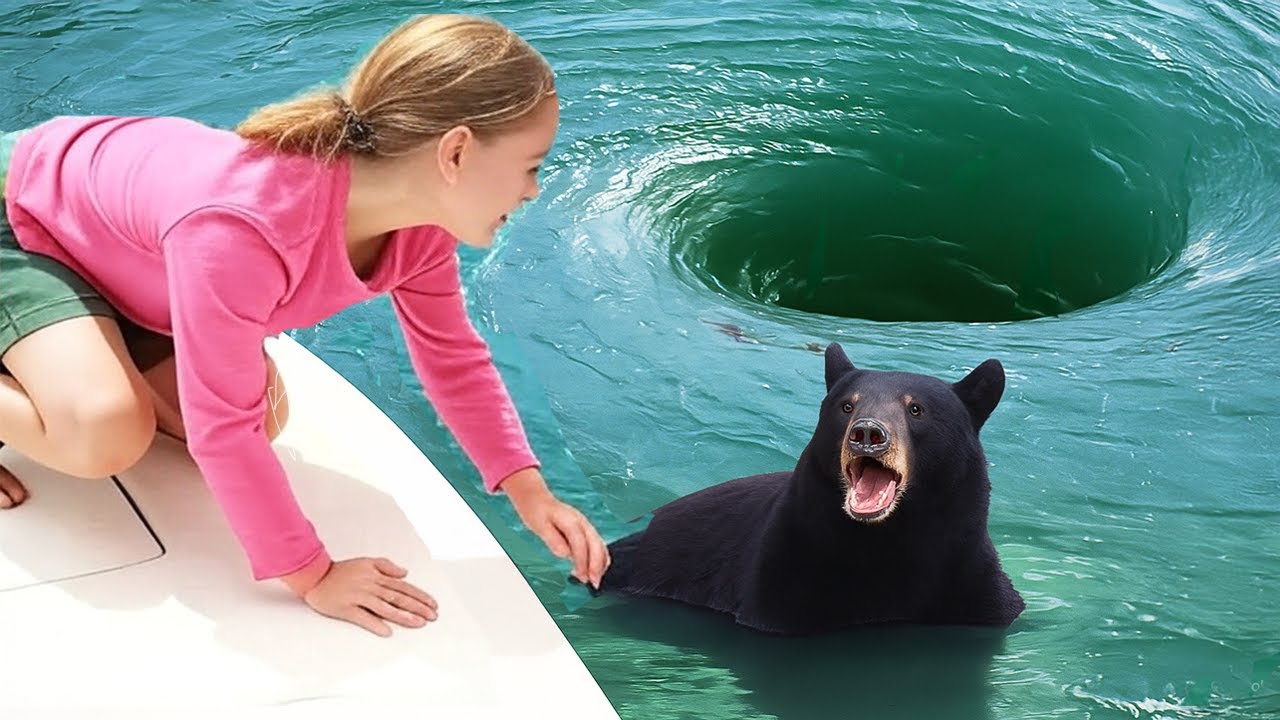 Animals That ASKED People For Help & Kindness!