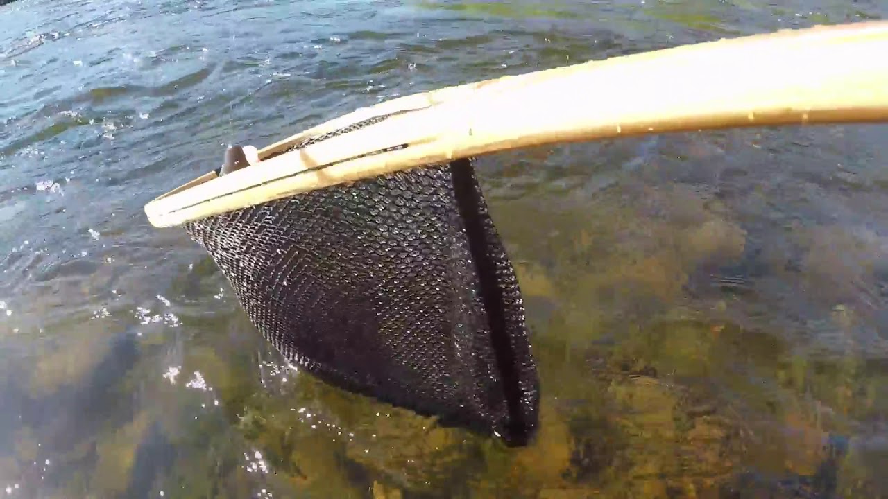 Harrfiske i Gim&aring;n, J&auml;mtland, juni 2018