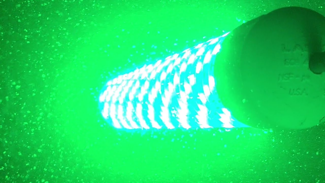 LED Fishing Light Attracts Fish Food #Shorts