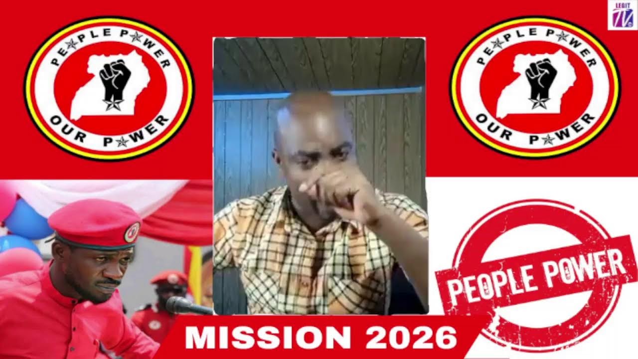 Legit Tv 256 Live Stream