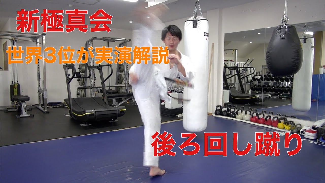 【空手】後ろ廻し蹴り解説〜加藤大喜〜【新極真会】