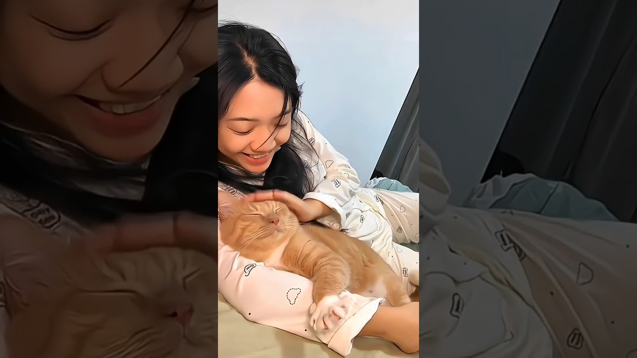 Cats love to sleep with their owners❤️😻