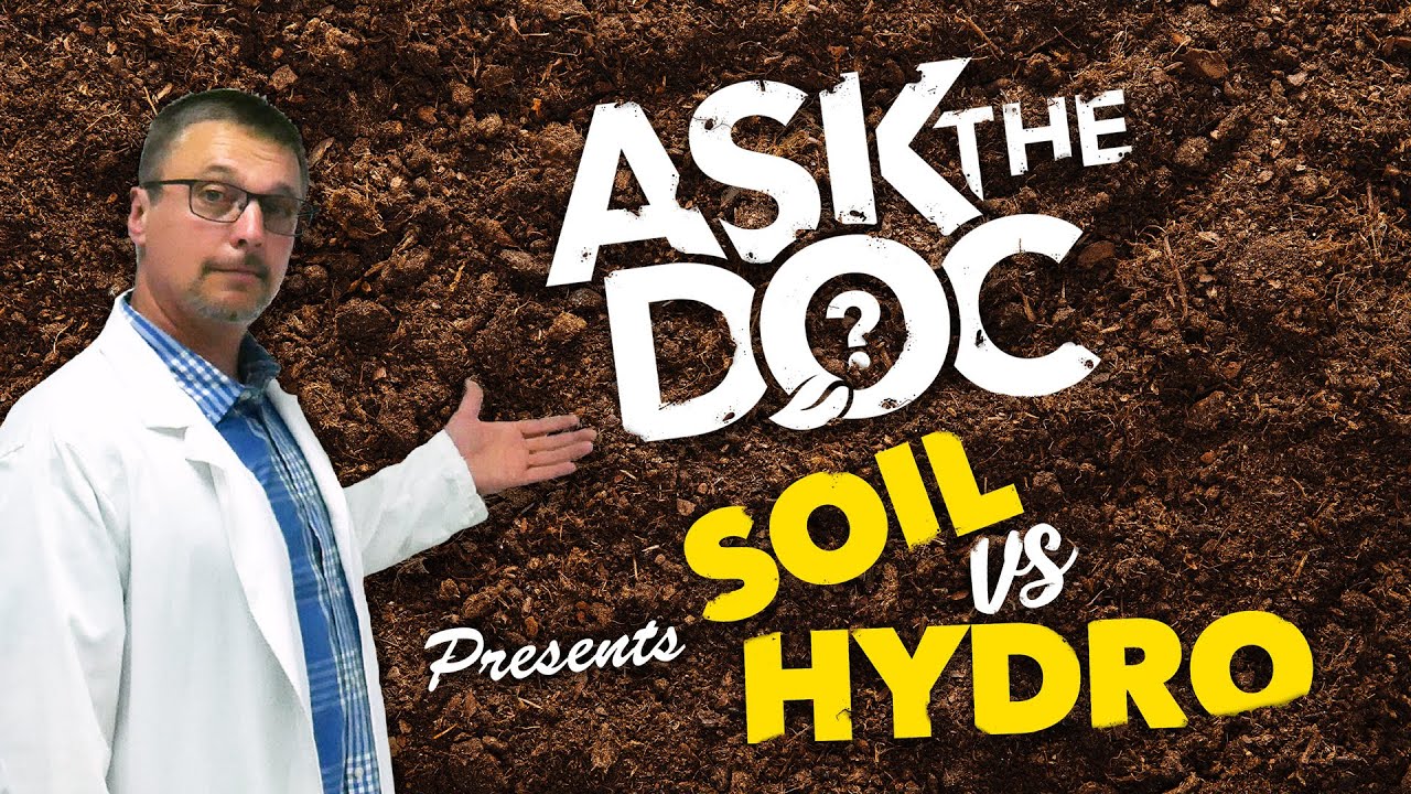 Ask the Doc: Getting Started in Soil vs Hydroponics