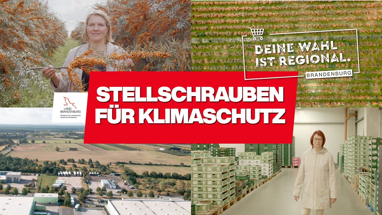 DEINE WAHL IST REGIONAL - FOLGE 12 - STELLSCHRAUBEN FÜR KLIMASCHUTZ