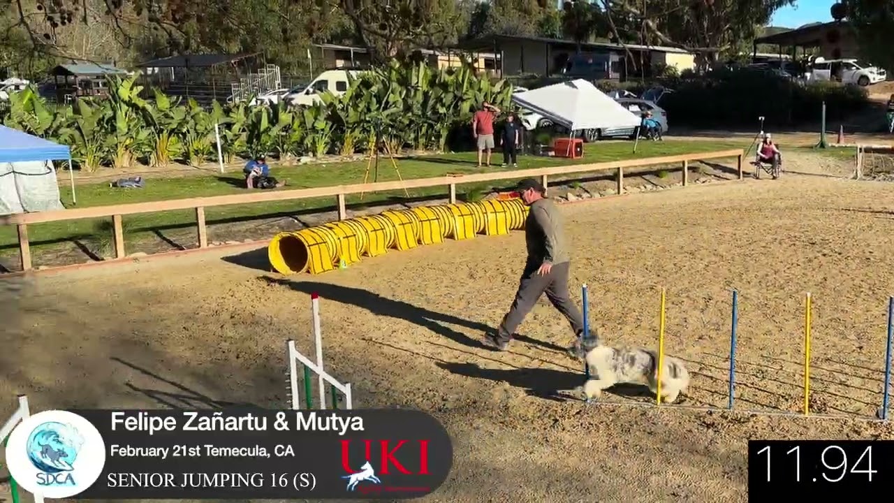 San Diego Coastal Agility International Challenge Event UKI Trial Feb 21 & 22 Temecula, CA