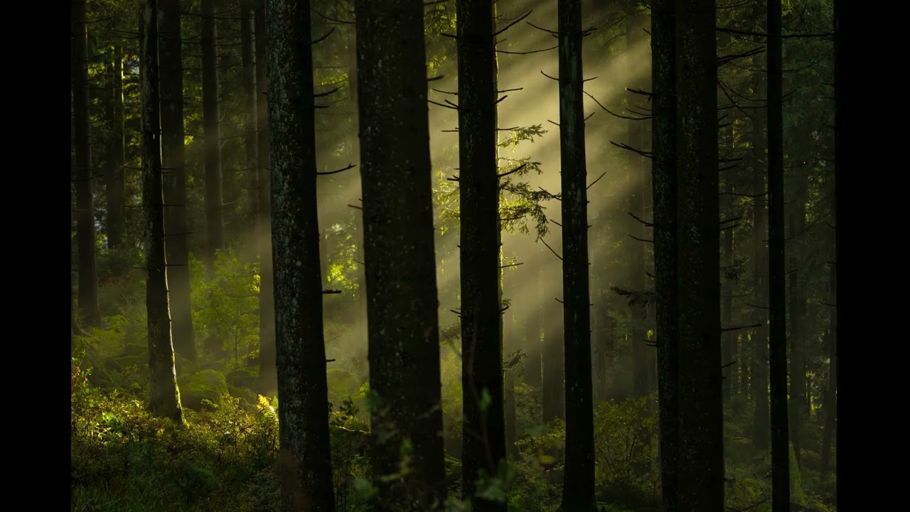 À la lisière des mois