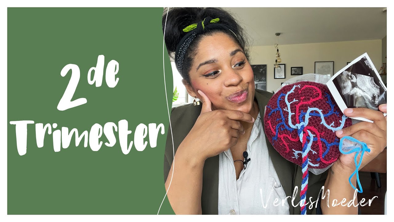 KAN IK NOG THUIS BEVALLEN 🤔 | 2e Trimester | Boeklancering | Laagliggende placenta | Verhuisupdate |
