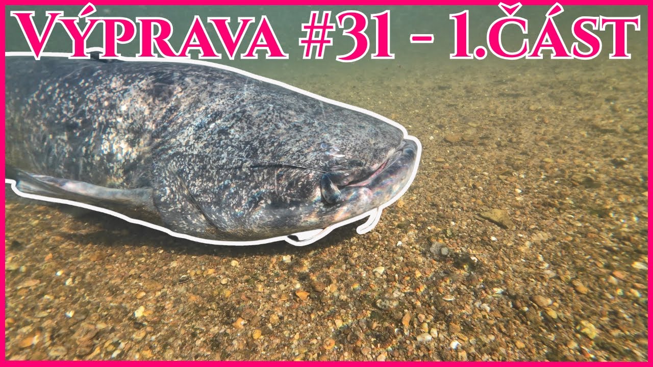 Výprava #31 - 1.část