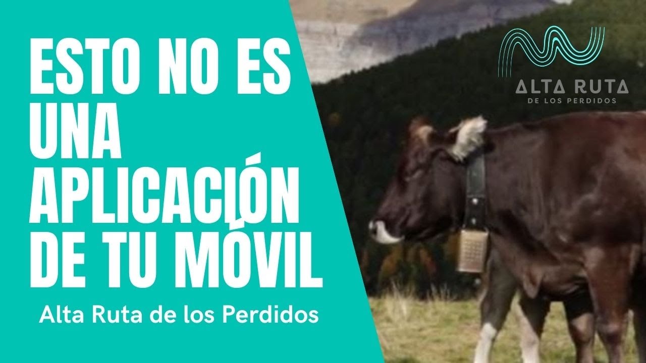 La Alta Ruta de los perdidos, supera tus límites.