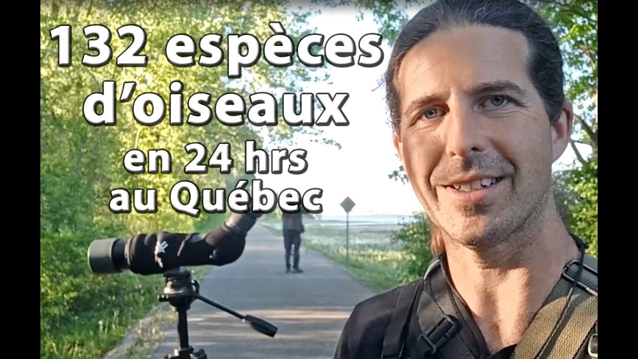132 espèces d'oiseaux en 24 hrs - Les Ornitrotteurs (Grand Défi Québec Oiseaux 2021)