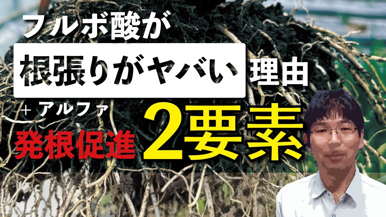 腐植酸【ヤバい理由】をわかりやすく農作物目線で伝える【暴露】