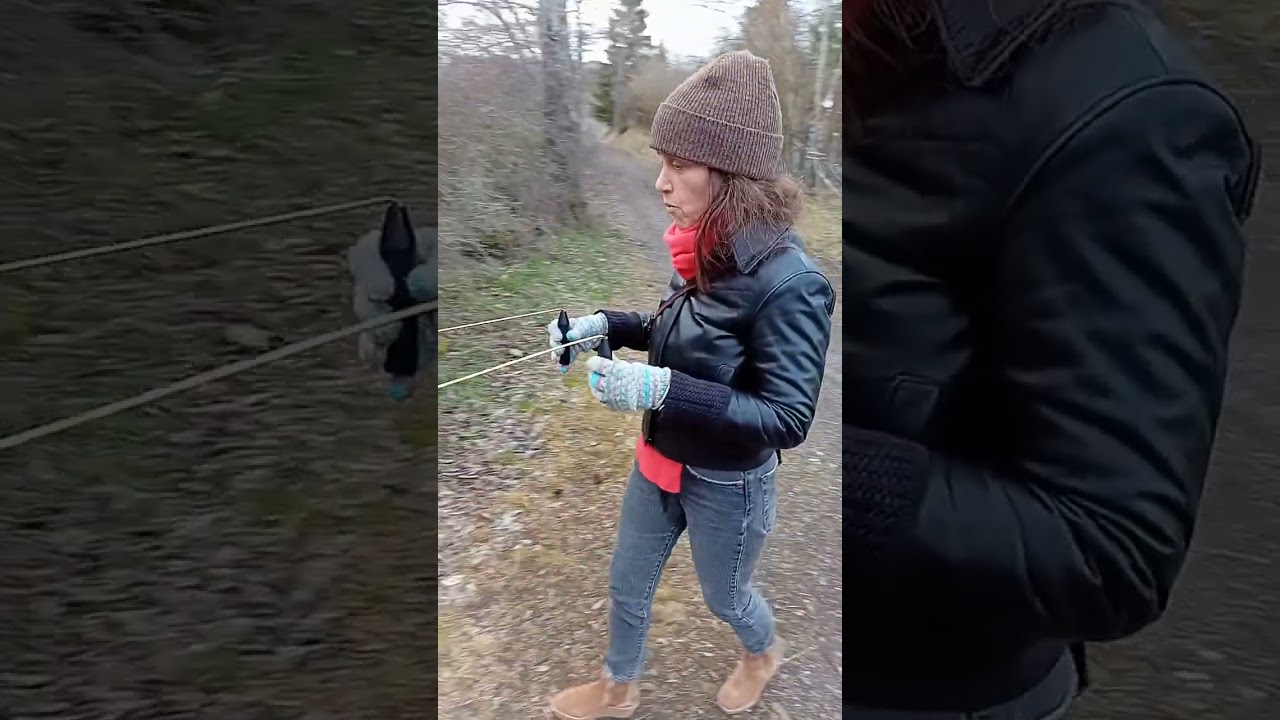 Baguettes coudées : bois des seigneurs