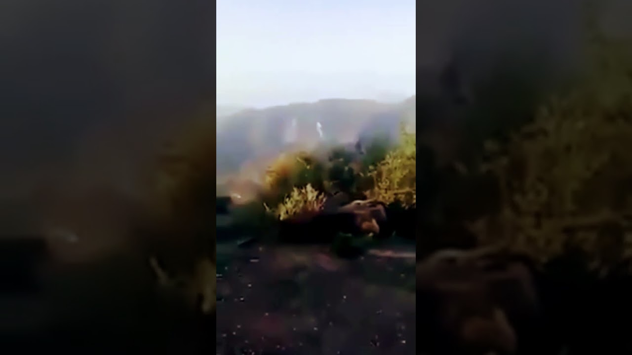 Watch as Pakistani soldier fires ATGM at Afghani attackers #pakarmyzindabad #foryou #pakssgcommando