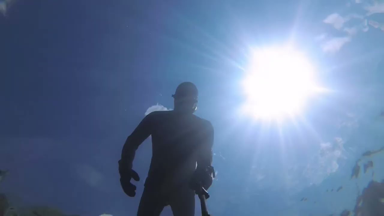 Freedive 15 mai flintkote fundive