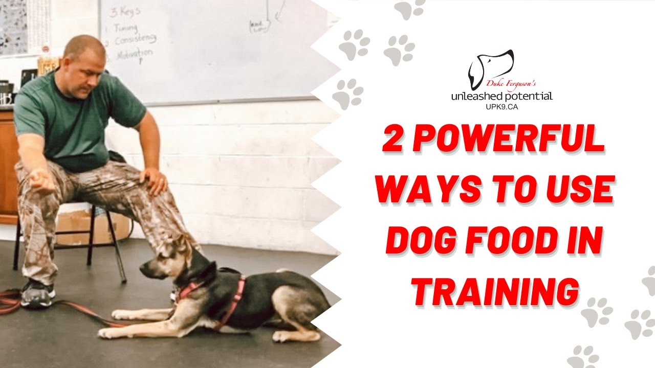 How to CALM a HYPER Puppy OR Excite a Lazy Dog Using FOOD