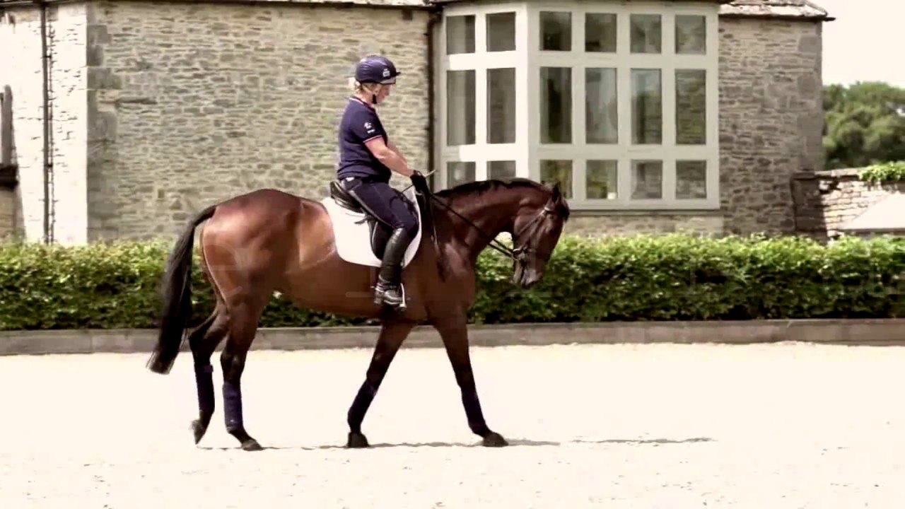 Symphony | Dressage Music Video