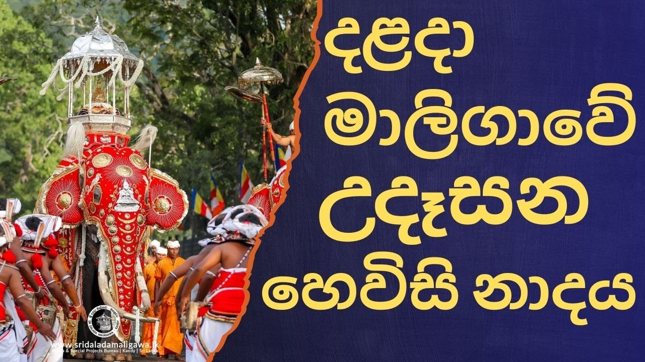 දළදා මාලිගාවේ සවස් තේවා හේවිසි – හදවත පිරිසිදු කරන නාදය 🎵 SIRI DALADA THEWA HEVISI NADAYA