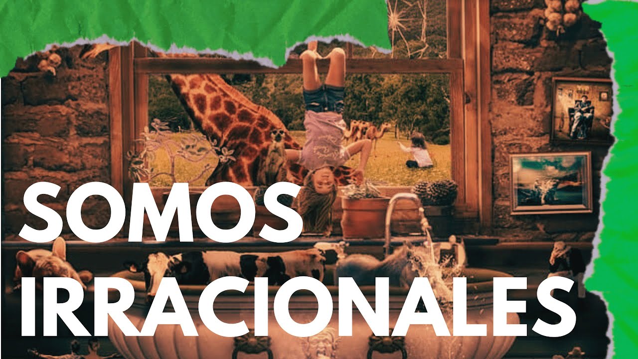 Somos racionales... ¿o irracionales? | Psicología Social