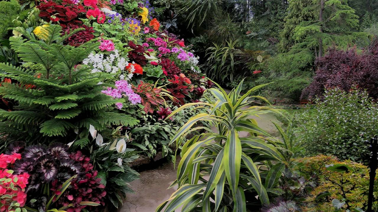 Butchart Gardens. In Canada 2016