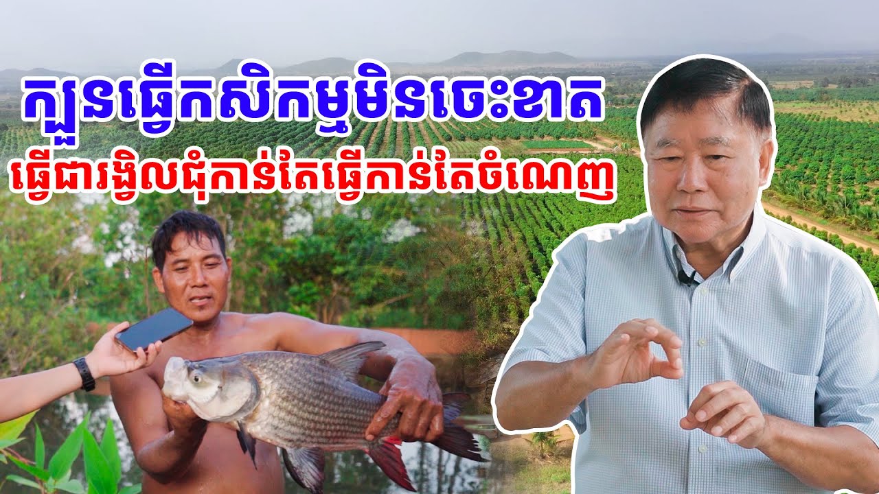 កុំធ្វើកសិកម្មវិលវល់ ត្រូវធ្វើកសិកម្មវិលជុំក្បួននេះកាន់តែធ្វើកាន់តែចំណេញ
