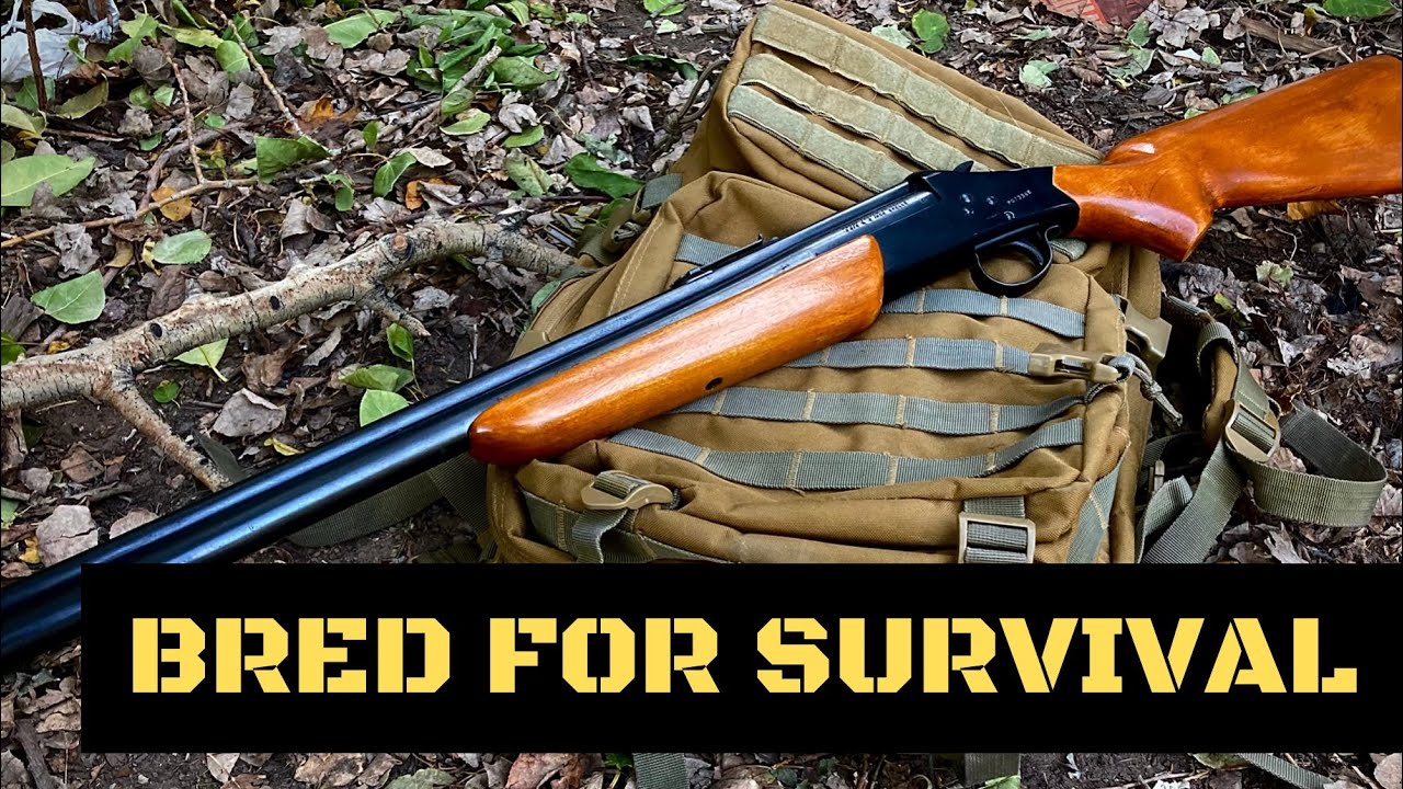 ОРИГИНАЛЬНОЕ КОМБИНИРОВАННОЕ ПИСТОЛЕТНОЕ ОРУЖИЕ ДЛЯ ВЫЖИВАНИЯ! - SAVAGE MODEL 24