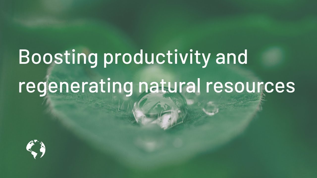Boosting Productivity and Regenerating Natural Resources