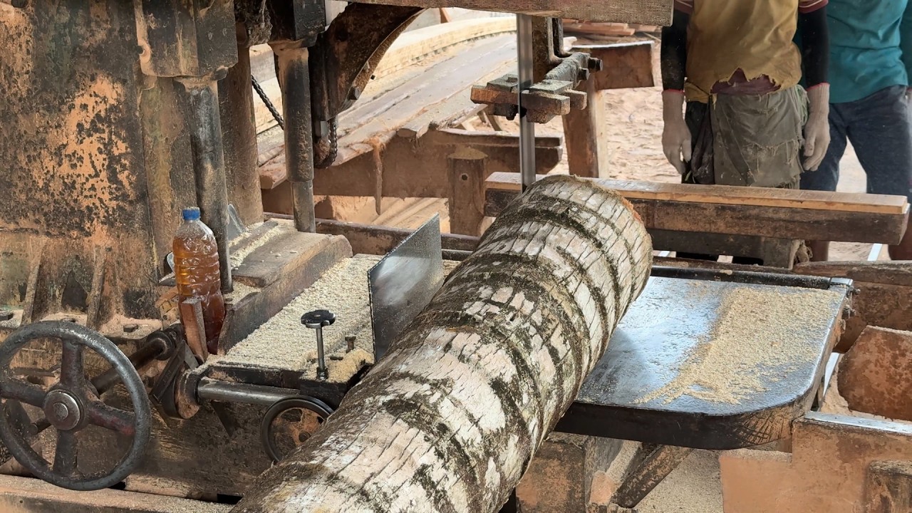 The Right Way to Saw Coconut Wood Into 2x20