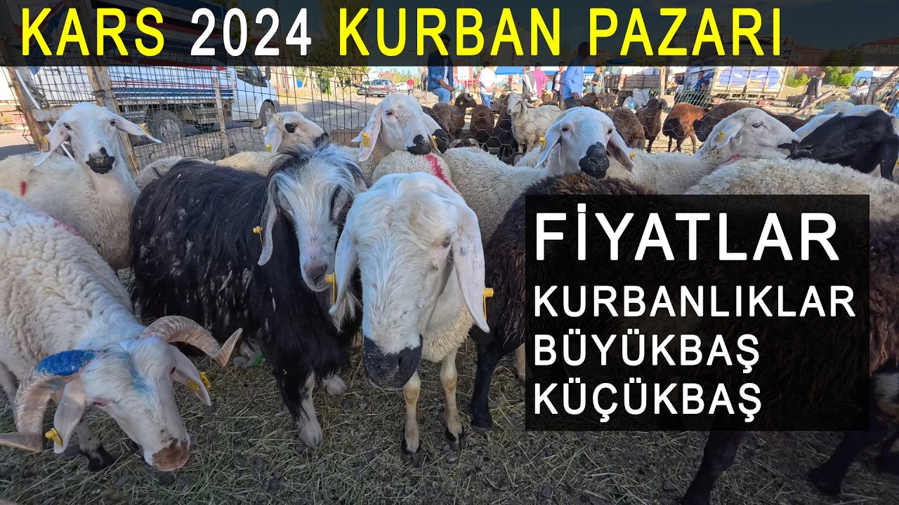 Kars kurban pazarı 2024 Hayırlı Bayramlar Türkiye