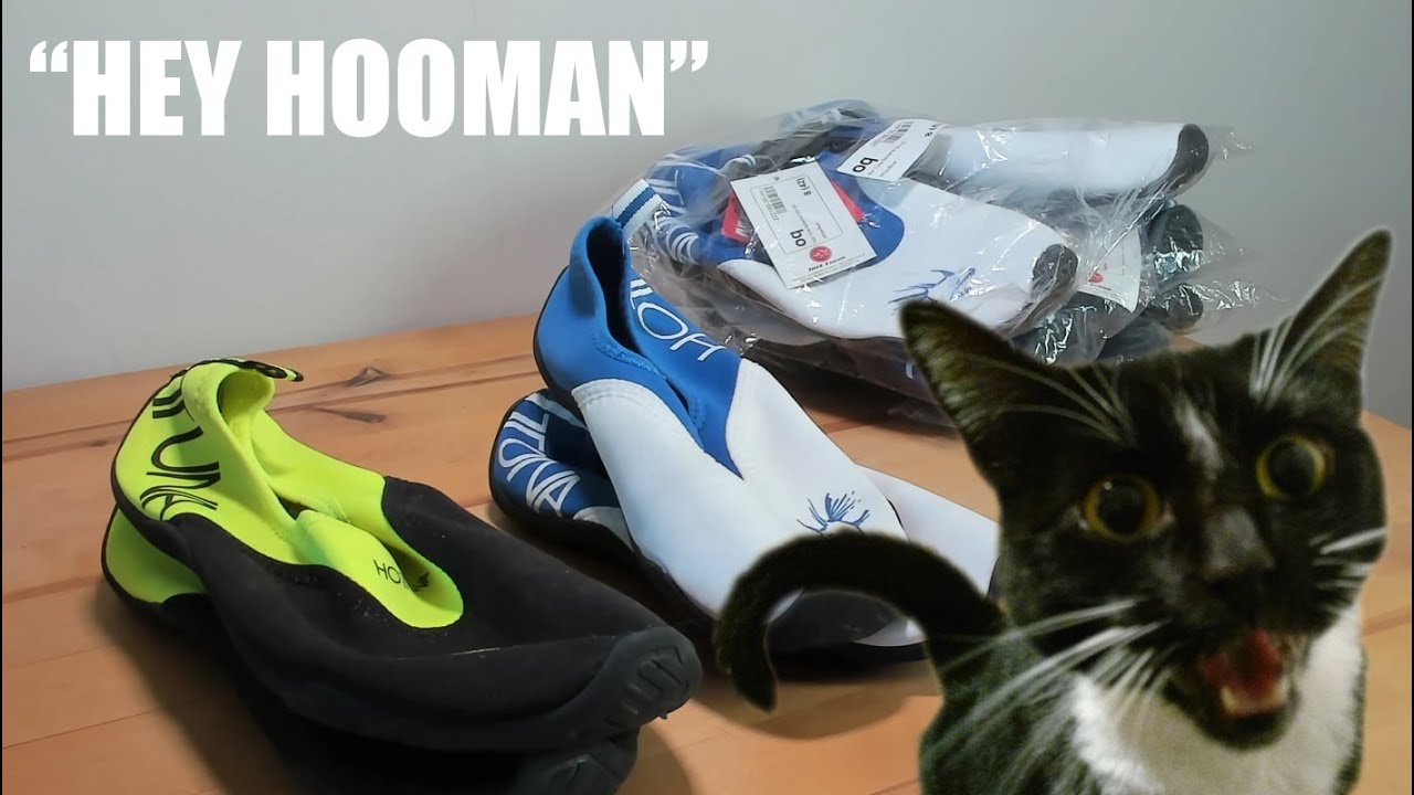 SIM RACING SHOES! 💰THESE ARE FANTASTIC AND CHEAP!💰