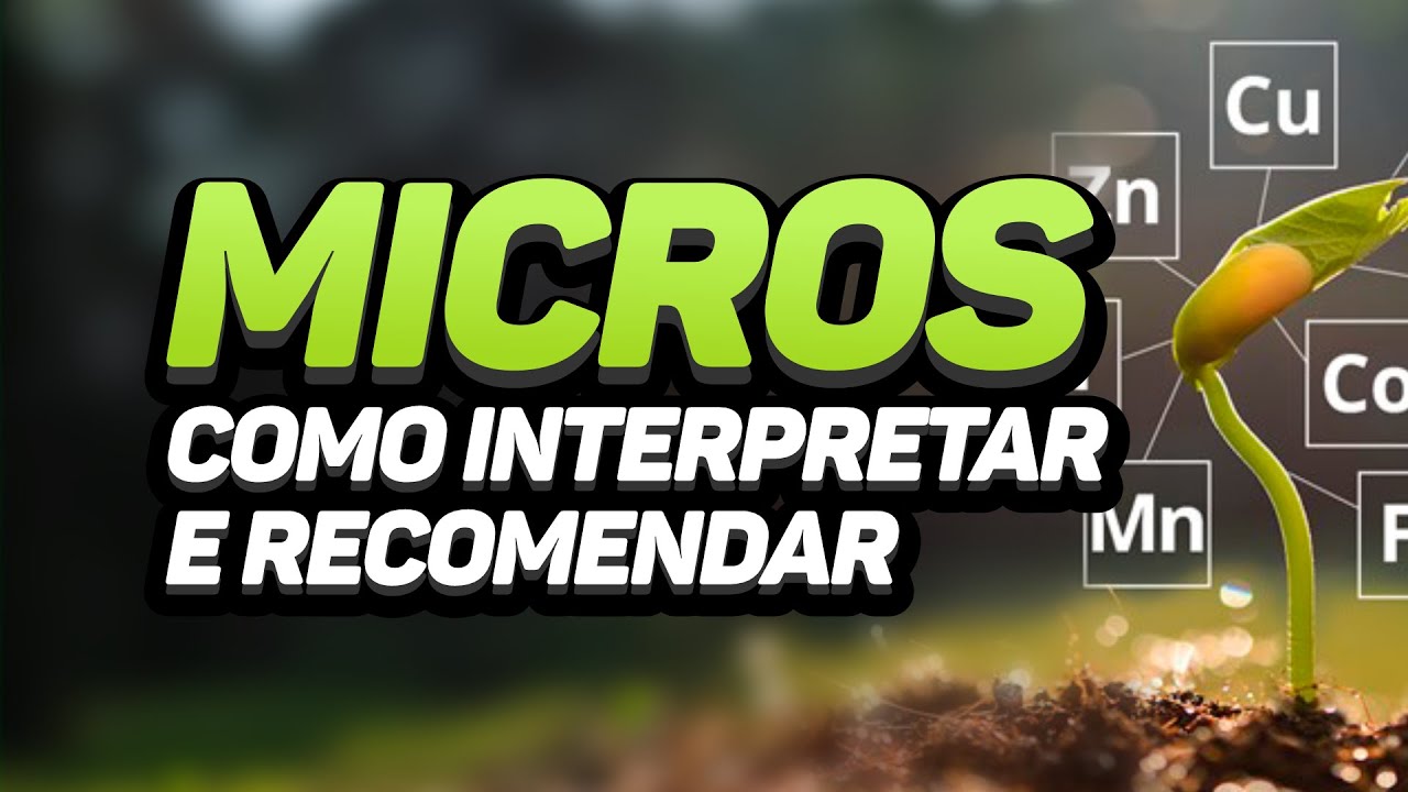 MICRONUTRIENTES   Como Interpretar e Recomendar