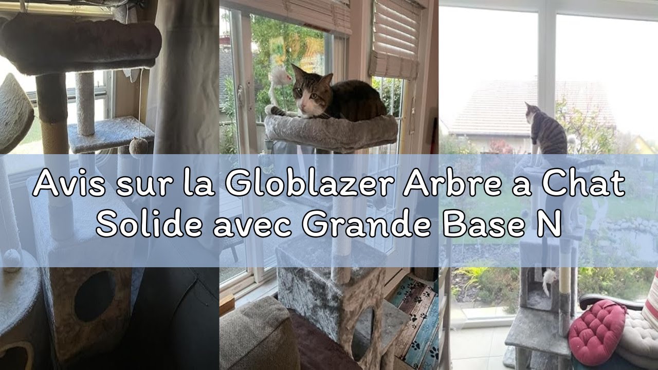 Avis sur la Globlazer Arbre a Chat Solide avec Grande Base Niches Plateforme Peluche Jouets, Arbres