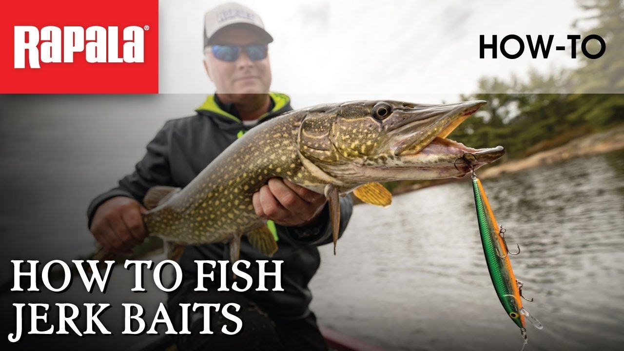 How to Fish Jerk Baits | Rapala Fishing Tips