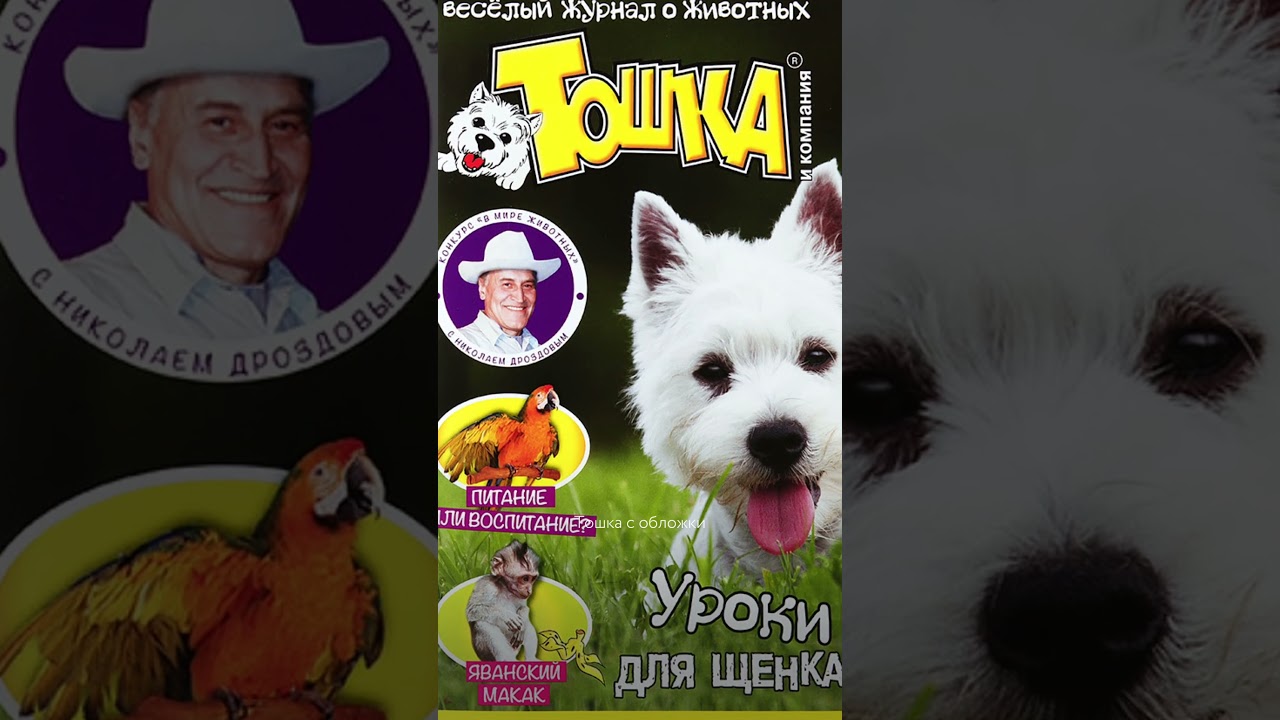 Породы, которые не линяют❤️ тгк: pappyru