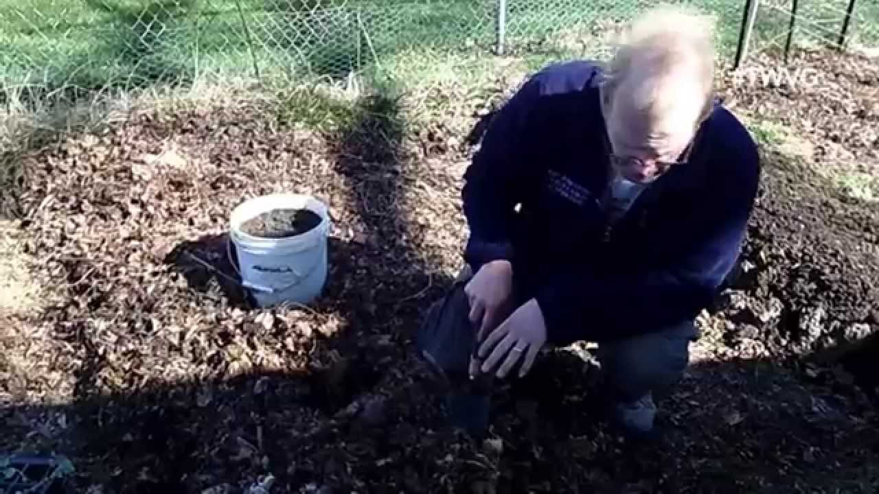Planting Cabbage and Preventing Weeds Under a Permanent Structure - The Wisconsin Vegetable Gardener