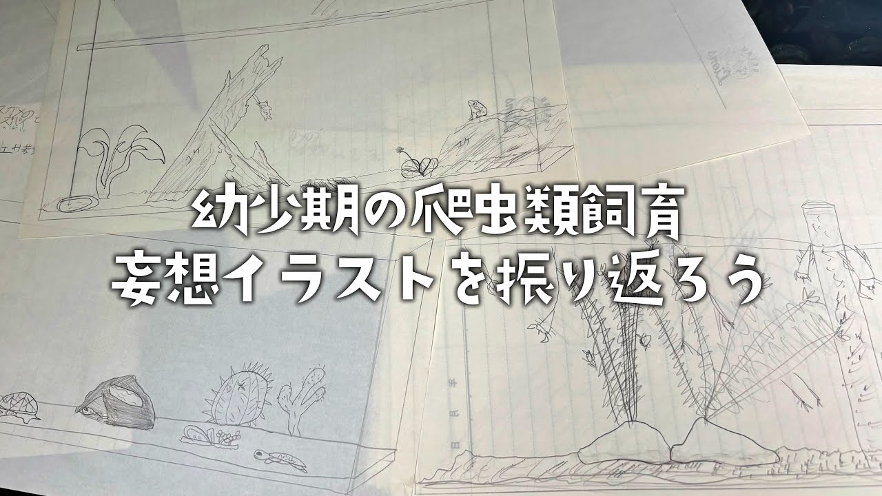 【メンシプ動画 1日限定公開】幼少期に描いた爬虫類飼育イラストに突っ込みまくる21歳