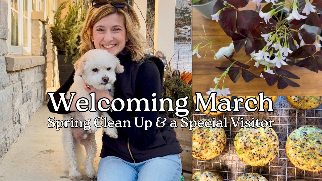 March Reset: Sunshine, Spring Cleaning & Our Adorable Visitor 🐶☀️
