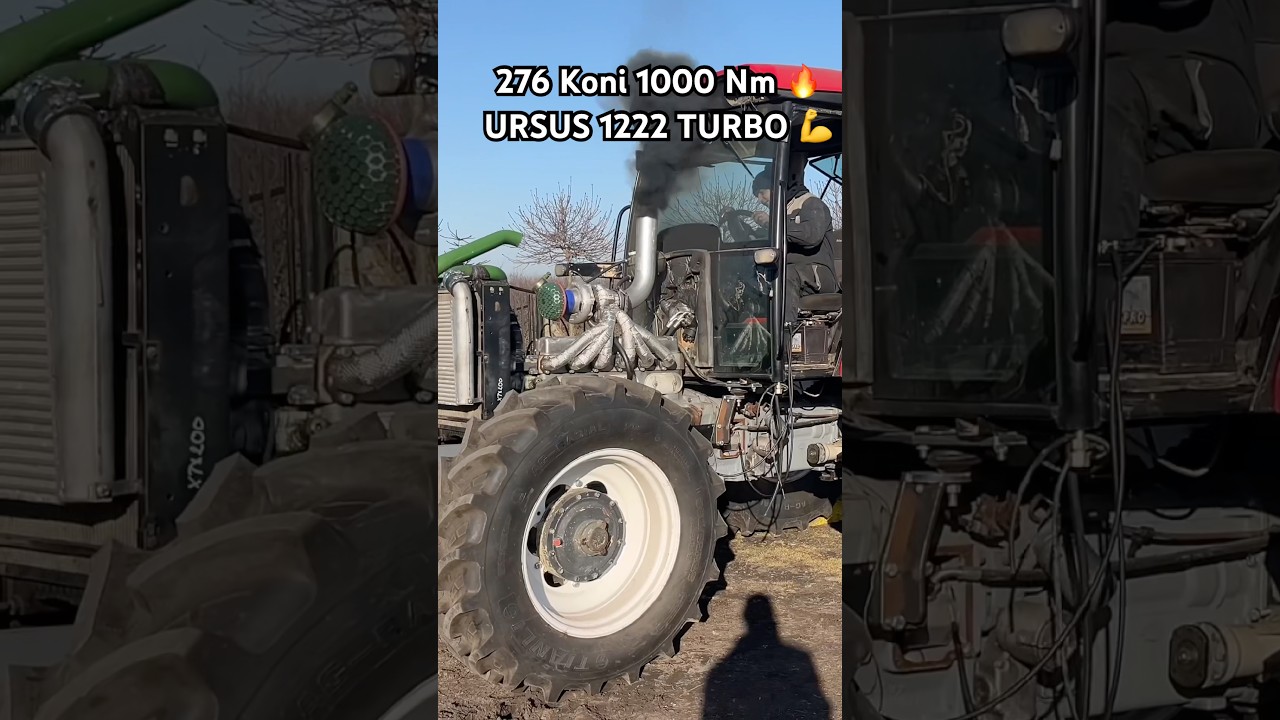 URSUS 276 KONI 1000 NIUTA !!! #ursus #tractor #tractorpulling #farming #farmer