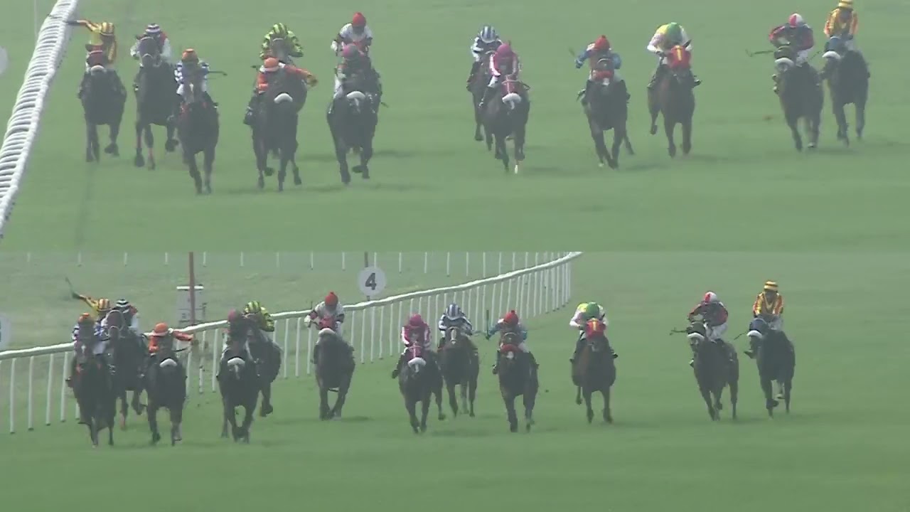 POLAR WIND with Faiz up wins The Gonikoppa Plate 2024 RACE 8